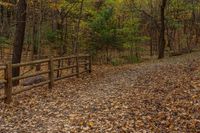 a wooden fence and a brown fence sit in the leaves on a forest trail surrounded by trees