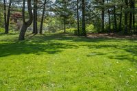 a green field with some trees in the background and a person walking through the woods behind it