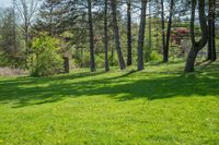 a green field with some trees in the background and a person walking through the woods behind it