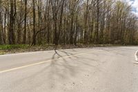 a motorcycle sits parked next to a road next to many trees and shrubs on both sides