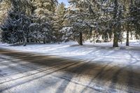 Ontario Canada Landscape: Asphalt Road and Forest