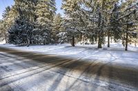 Ontario Canada Landscape: Asphalt Road Through Forest 003