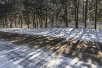 a driveway with a snow covered pathway in the middle of it, surrounded by tall trees