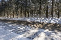 a driveway with a snow covered pathway in the middle of it, surrounded by tall trees