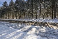 a driveway with a snow covered pathway in the middle of it, surrounded by tall trees