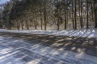 a driveway with a snow covered pathway in the middle of it, surrounded by tall trees