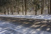 a driveway with a snow covered pathway in the middle of it, surrounded by tall trees