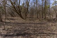 a dirt field surrounded by bare trees and dry grass is a short hike in the distance
