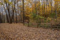 leaves on the ground with wooden fences surrounding them in a forest full of trees and leaves