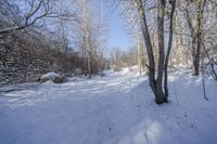 Ontario Canada Landscape: Forest Road during Day