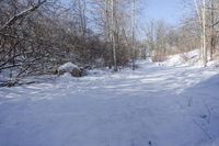 Ontario Canada Landscape: Forest Road during Day