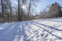 snow covered ground and trees near a field with footprints of snow on it that have been cleaned and dried