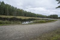 the gravel road on which there is a pond next to trees and grass, in the middle of a wooded area