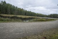 the gravel road on which there is a pond next to trees and grass, in the middle of a wooded area