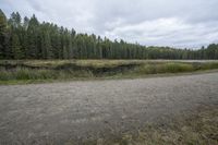 the gravel road on which there is a pond next to trees and grass, in the middle of a wooded area