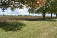 Ontario, Canada Landscape: Nature and Trees