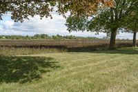 Ontario, Canada Landscape: Nature and Trees