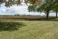 Ontario, Canada Landscape: Nature and Trees