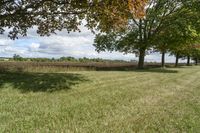 Ontario, Canada Landscape: Nature and Trees