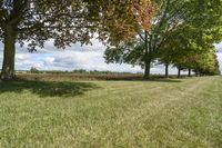 Ontario, Canada Landscape: Nature and Trees