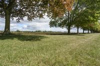 Ontario, Canada Landscape: Nature and Trees