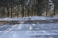 Ontario Canada Landscape Road through Forest