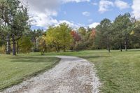 Ontario Canada Landscape Road Tree 002