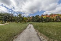 Ontario, Canada Landscape: A Road Lined with Trees