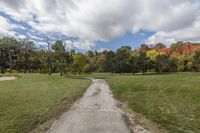 Ontario, Canada Landscape: A Road Lined with Trees