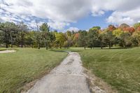 Ontario, Canada Landscape: A Road Lined with Trees