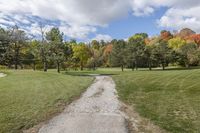 Ontario, Canada Landscape: A Road Lined with Trees