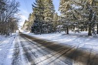 a road with snow and trees on either side is partially covered in snow, the sun shines brightly