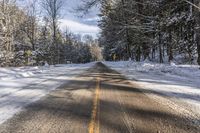 Ontario Canada Landscape: Snowy Forest Road 001