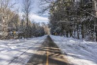 Ontario Canada Landscape: Snowy Forest Road 002