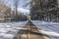 Ontario Canada Landscape: Snowy Forest Road