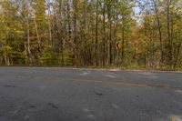 Ontario, Canada Landscape with Trees During the Day