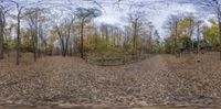 there is a small circular panorama on the ground near trees in this picture, looking like a fisheye lens