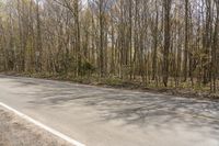 the asphalt road has been paved with trees and grass along both sides of it on either side