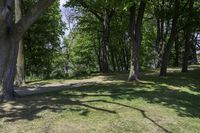 the park has many different trees in the grass and bushes and grass covered area near the park entrance