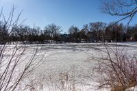 a frozen body of water with lots of trees around it and blue skies in the background