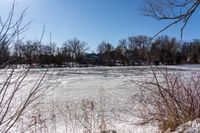 a frozen body of water with lots of trees around it and blue skies in the background