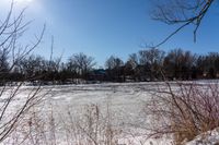 a frozen body of water with lots of trees around it and blue skies in the background