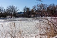 a frozen body of water with lots of trees around it and blue skies in the background