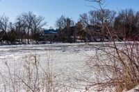 a frozen body of water with lots of trees around it and blue skies in the background