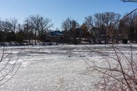 a frozen body of water with lots of trees around it and blue skies in the background