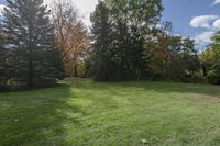 an empty backyard has a grassy lawn with trees and bushes in the background on a sunny day