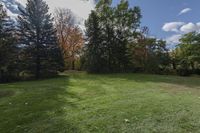 an empty backyard has a grassy lawn with trees and bushes in the background on a sunny day