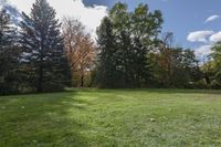 an empty backyard has a grassy lawn with trees and bushes in the background on a sunny day