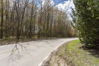 an empty road surrounded by trees on either side of the road or in front of a forest