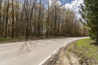 an empty road surrounded by trees on either side of the road or in front of a forest